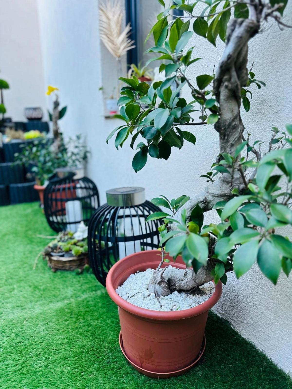 Noblesse Hause Hotel Gammertingen Bagian luar foto